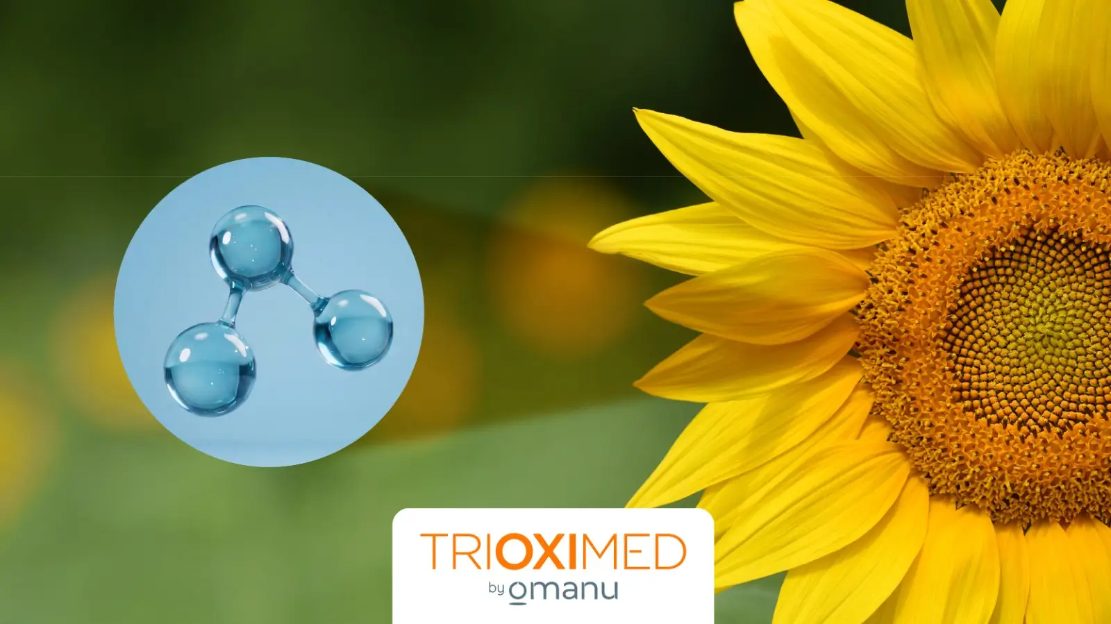 Aceite de girasol ozonizado para el cuidado de la piel.